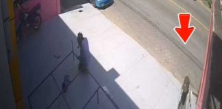 Foto: Robo de pulidora a un obrero en Managua / TN8
