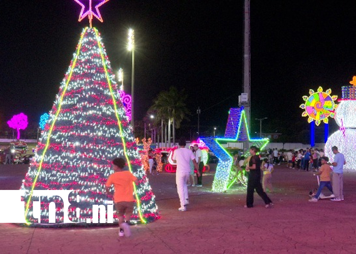 Foto: Recomendaciones para que tu familia pase una Navidad segura /TN8