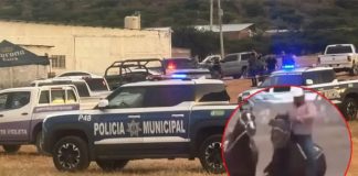 Foto: Ocho muertos en México /Cortesía