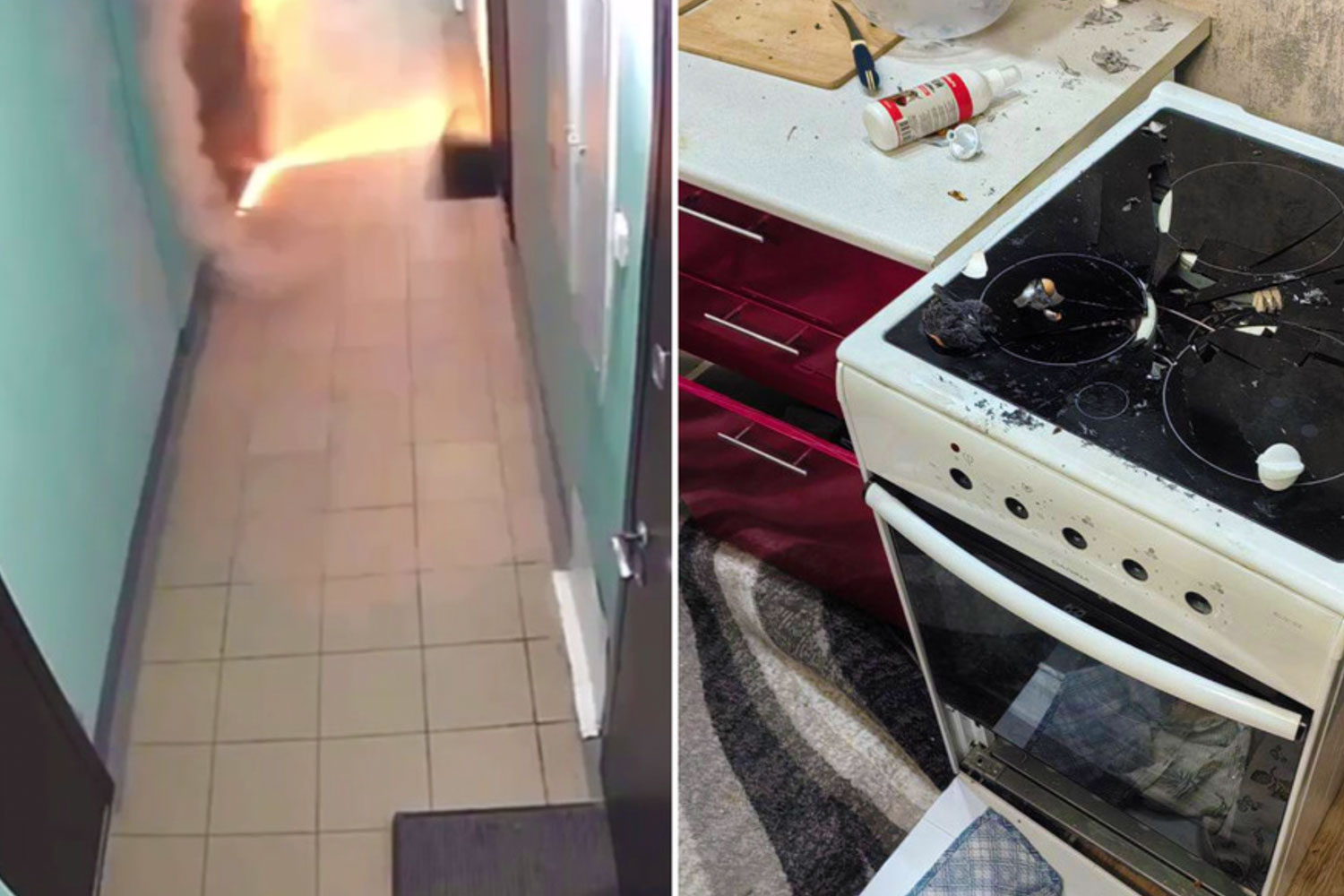 Foto: Perro provoca explosión tras encender accidentalmente una estufa/ Cortesía 