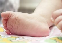 Terror en Estados Unidos: Niña de 2 años muere atacada por un pitbull Foto: Estados Unidos en shock: pitbull mata a una niña de 2 años /Cortesía