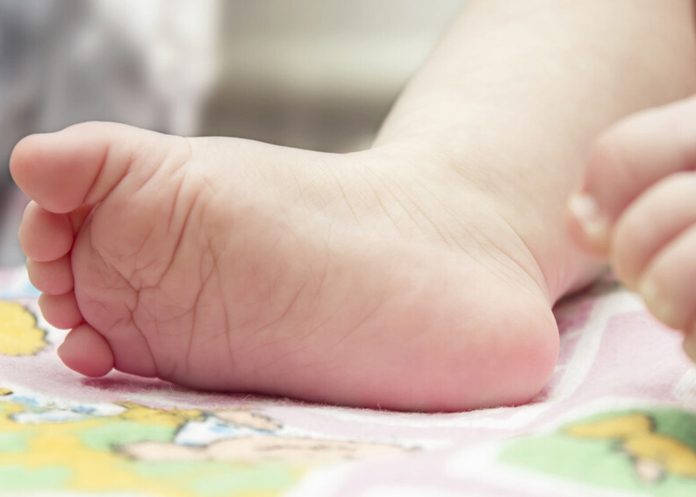 Foto: Estados Unidos en shock: pitbull mata a una niña de 2 años /Cortesía