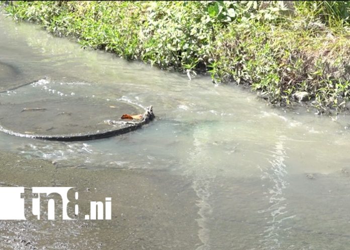 Foto: Mal olor, mosquitos y aguas negras: la pesadilla diaria de Villa Guadalupe /TN8