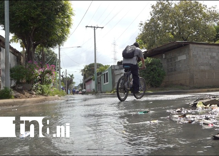 Foto: Mal olor, mosquitos y aguas negras: la pesadilla diaria de Villa Guadalupe /TN8