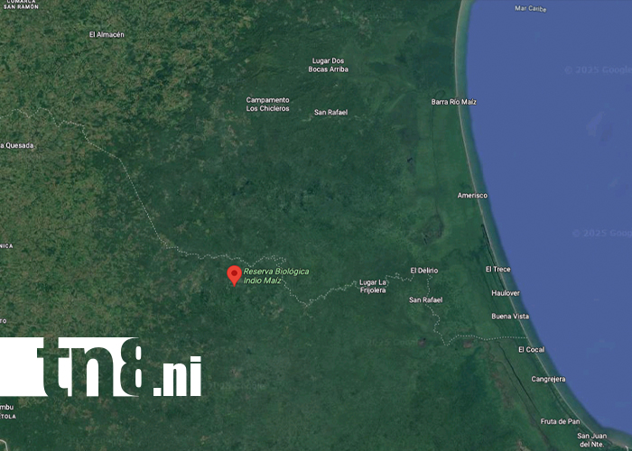 Foto: Capturan al presunto asesino en la Reserva Indio Maíz /TN8