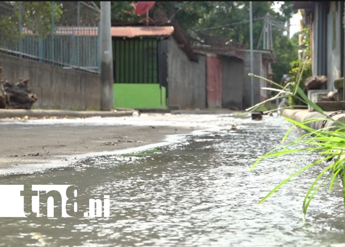 Foto: Mal olor, mosquitos y aguas negras: la pesadilla diaria de Villa Guadalupe /TN8