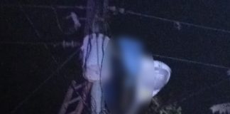 Foto: Carretera Vieja a León en luto: trabajador fallece tras accidente eléctrico/TN8