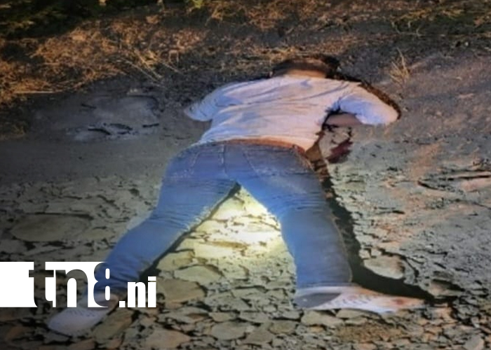 Foto: Autoridades de León suman 56 fallecidos por accidentes este año/TN8