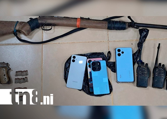 Foto: Batallón Ecológico "BOSAWAS” asesta golpes a la tala y tráfico ilegal en el Caribe Norte/TN8