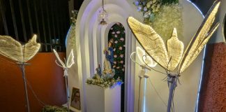 Foto: Managua vibra con la alegría y devoción de La Gritería en Monseñor Lezcano/TN8