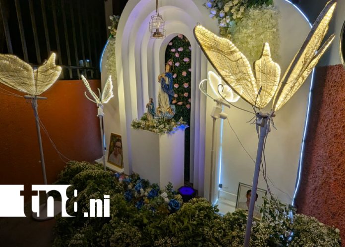 Foto: Managua vibra con la alegría y devoción de La Gritería en Monseñor Lezcano/TN8