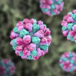 Foto:EE.UU. enfrenta incremento de norovirus/Cortesía
