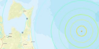 Foto: Potente terremoto de magnitud 6,7 sacude Japón /Cortesía