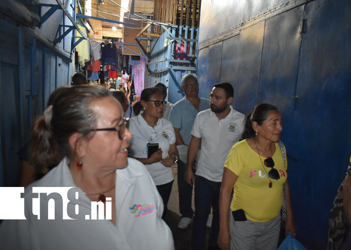 Foto: Granada protege su patrimonio: restauración del techo histórico del mercado/TN8