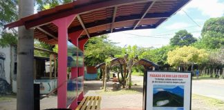 Foto: Ometepe avanza: nuevas paradas de buses con infraestructura y comodidad/TN8