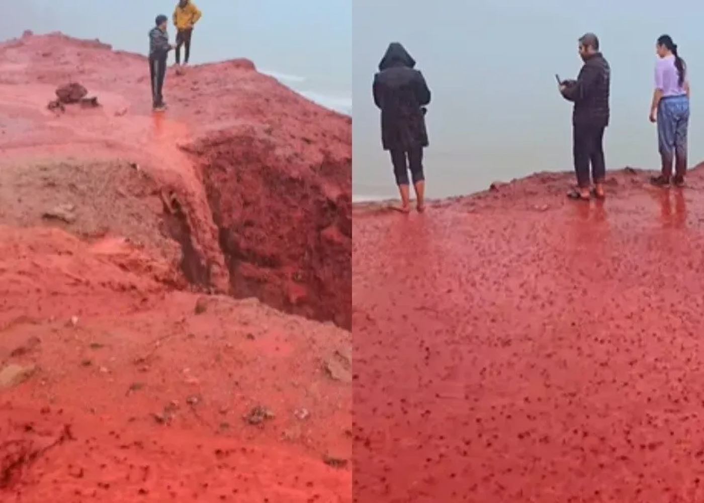 Foto: El impactante fenómeno de la Playa Roja en Irán /Cortesía