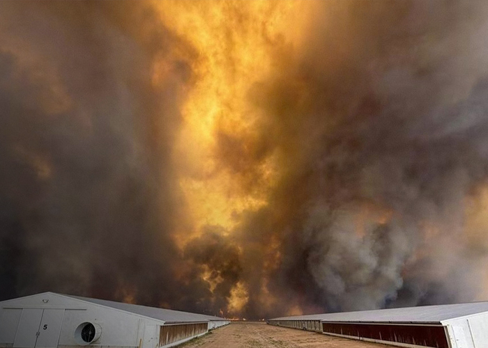 Foto: Australia Occidental bajo alerta máxima /cortesía 