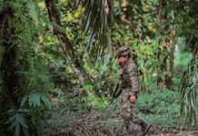 Ataque armado en zona rural de Colombia deja cuatro militares muertos Foto: Escalada armada en Colombia /cortesía