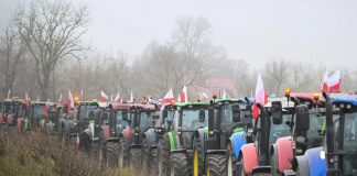 Foto: Francia e Italia frenan la firma /cortesía
