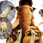 Foto: personajes de La Era de Hielo hallados congelados / Cortesía