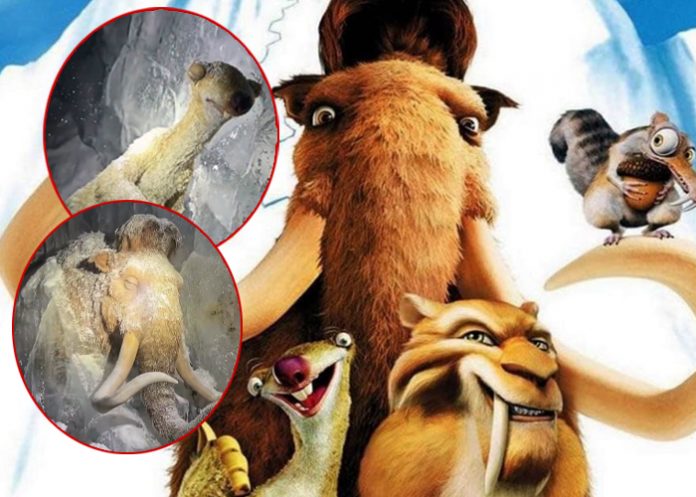 1 Foto: personajes de La Era de Hielo hallados congelados / Cortesía