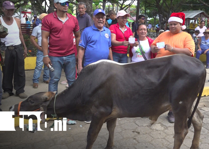 Foto: ¡Emoción y alegría! Realizan rifa del ternero navideño en Nandaime al son de los filarmónicos/TN8