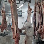 Foto: Nicaragua, La carne bovina como pilar estratégico de la economía nacional/Cortesía