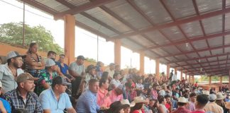 Foto: Teustepe vive una jornada festiva con su Rodeo Navideño/TN8