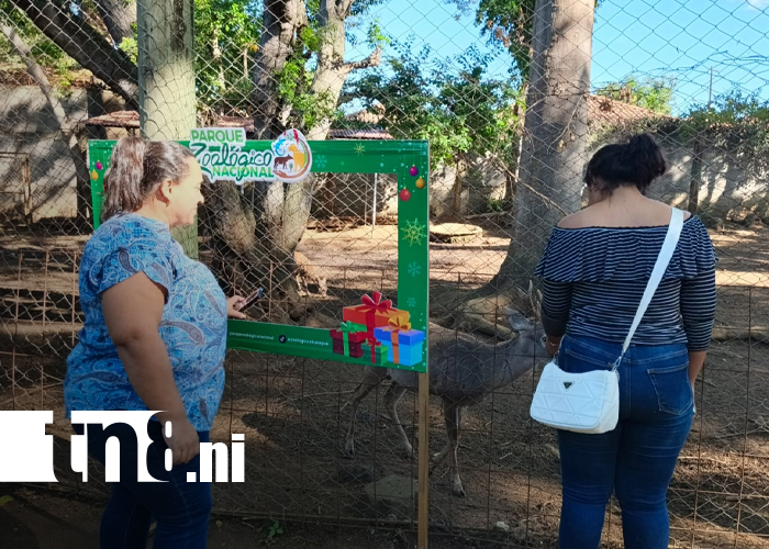 Foto:Familias disfrutan del Zoológico Nacional/TN8