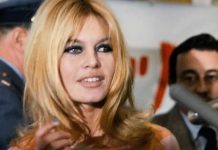 Brigitte Bardot, leyenda del cine francés, muere a los 91 años Foto: Adiós a Brigitte Bardot /cortesía