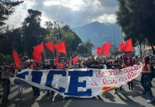 Universitarios rechazan recorte que amenaza la educación superior en Ecuador Foto: Protestas en Ecuador /cortesía