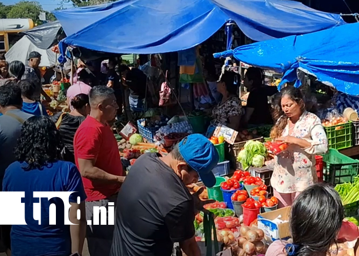 Foto:Fiestas de fin de año dinamizan el comercio en Carazo/Tn8
