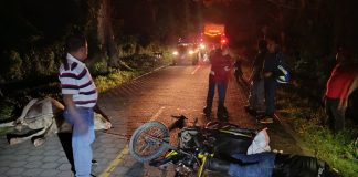 Foto: Motociclista ebrio choca contra vaca en La Chichi Mora/TN8