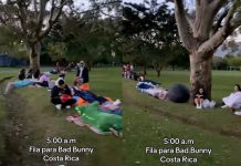 Foto: Fans hacen fila un día antes del concierto de Bad Bunny /Cortesía