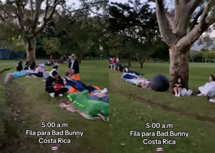 Foto: Fans hacen fila un día antes del concierto de Bad Bunny /Cortesía