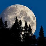Luna llena de diciembre 2025: conoce la “Luna Fría” Foto: Luna Fría de diciembre: fechas y horarios para verla/Cortesía