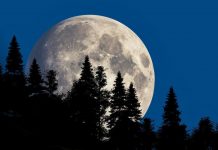 Luna llena de diciembre 2025: conoce la “Luna Fría” Foto: Luna Fría de diciembre: fechas y horarios para verla/Cortesía