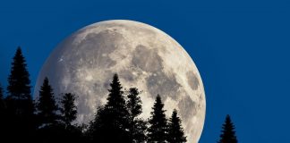 Foto: Luna Fría de diciembre: fechas y horarios para verla/Cortesía