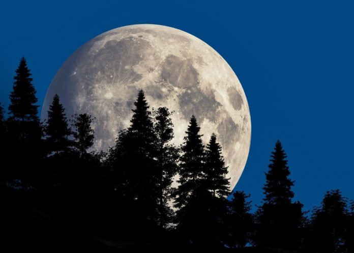 2 Foto: Luna Fría de diciembre: fechas y horarios para verla/Cortesía