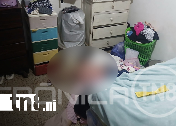 Foto: joven presuntamente asesina a su abuela y luego se quita la vida/TN8