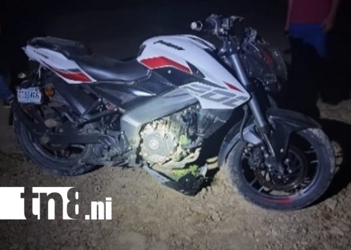 Foto: Autoridades de León suman 56 fallecidos por accidentes este año/TN8