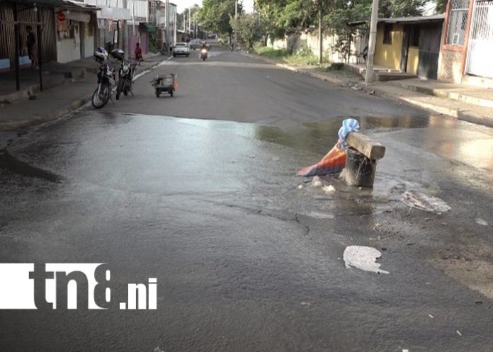 Foto: Familias del barrio Grenada ya no soportan el hedor de los manjoles en mal estado/TN8
