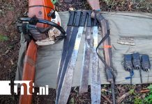 Batallón Ecológico «BOSAWAS” asesta golpes a la tala y tráfico ilegal en el Caribe Norte Foto: Batallón Ecológico "BOSAWAS” asesta golpes a la tala y tráfico ilegal en el Caribe Norte/TN8