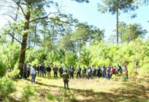 Senderismo ambiental promueve conservación de los pinares en Estelí Foto: MARENA lidera jornada de protección en Estelí/ Cortesía