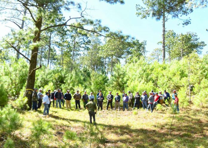Foto: MARENA lidera jornada de protección en Estelí/ Cortesía