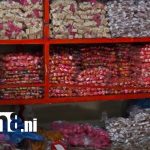 ¡Dulcería Daliana! Tradición que endulza las fiestas marianas Foto: Dulces para tu paladar: tradición y sabor en Dulcería La Daliana/ TN8