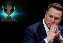 Elon Musk aclara que los OVNIS no son evidencia de extraterrestres Foto:Elon Musk habla sobre conspiraciones y OVNIS/Cortesía