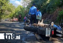 Foto: Dejó a ambos conductores con lesiones de consideración en Somoto/TN8