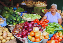 Foto: Abastecimiento y precios estables marcan la previa de la Navidad en Managua