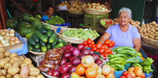Foto: Abastecimiento y precios estables marcan la previa de la Navidad en Managua